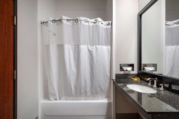 King Kitchenette Suite Bathroom