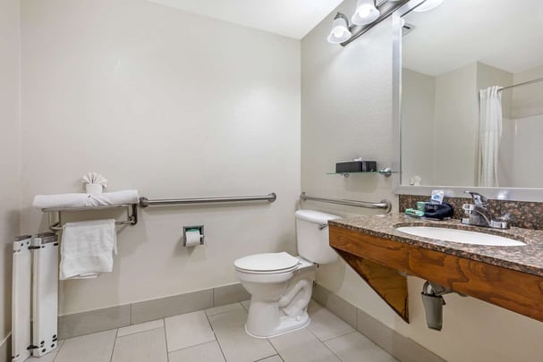 ADA Triple Queen - Guest Bath