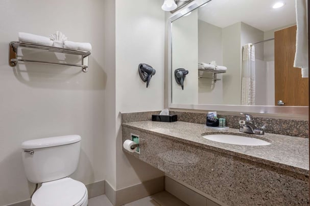 Triple Queen - Guest Bath