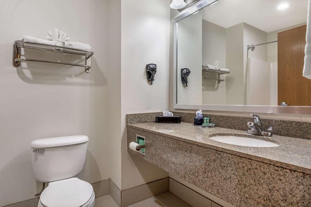 King Suite - Guest Bath