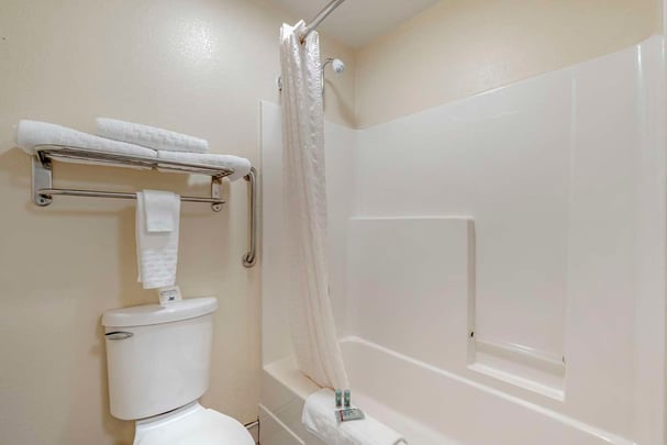 King w/ Sofa Bed - Guest Bath