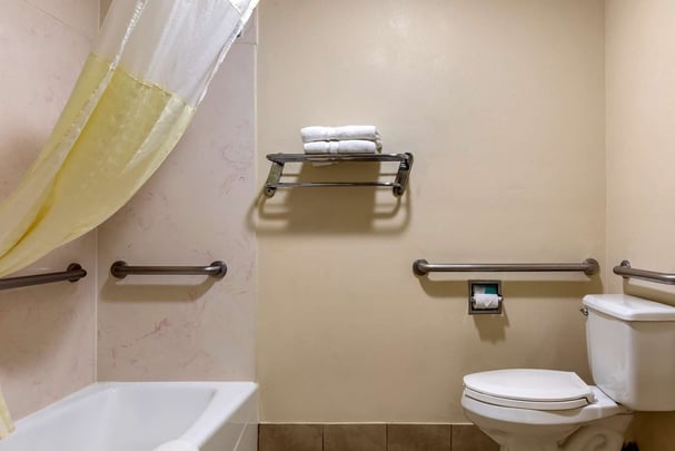 Accessible Guest Bathroom