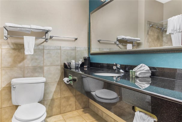 King Suite - Guest Bath