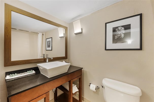 Triple Queen Suite - Guest Bath