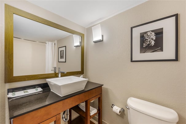 King Suite - Guest Bath