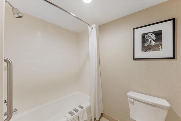 Triple King Suite - Guest Bath