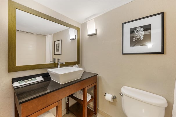 Double King Suite - Guest Bath