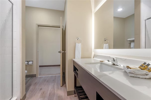 Two Room King Suite w/ Kitchenette - Guest Bath