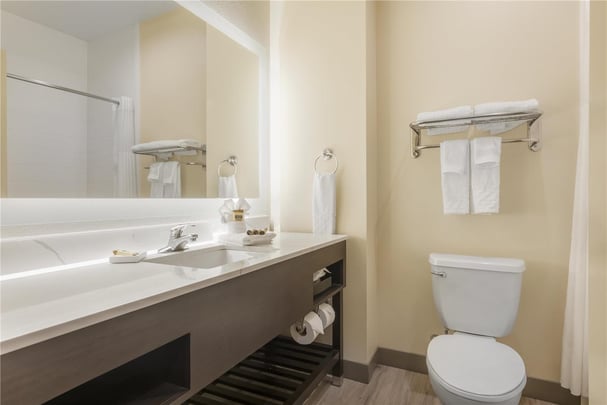 King Mini-Suite - Guest Bath