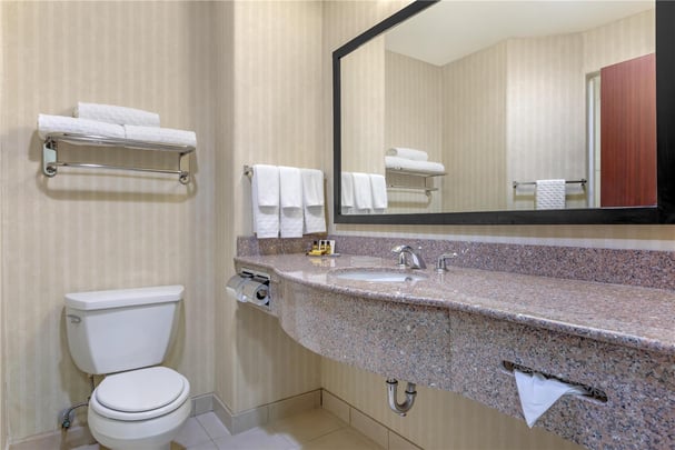King Suite - Guest Bath