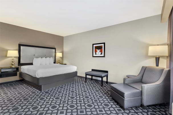 1 King Bed - Large Room