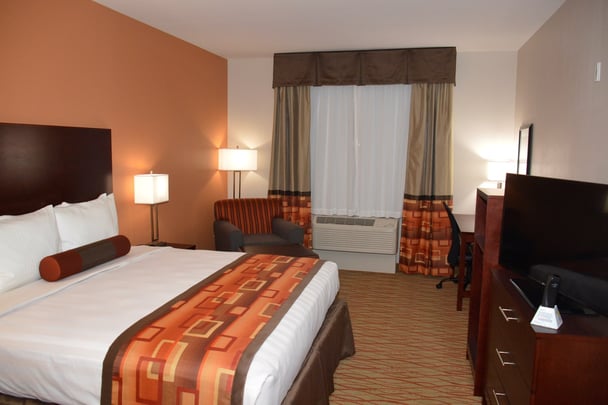 Single King Guest Room