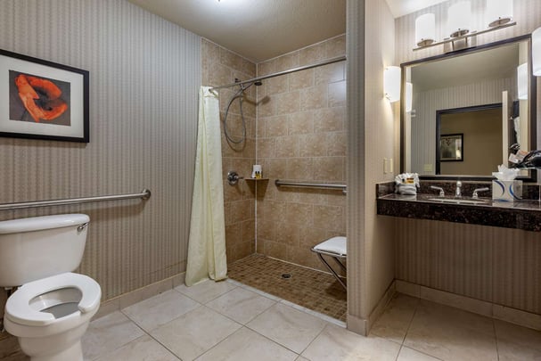 Accessible King Suite Bathroom