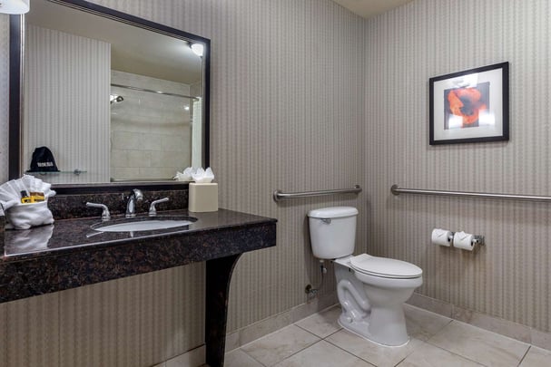 Accessible King Suite Bathroom