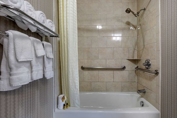Accessible King Suite Bathroom