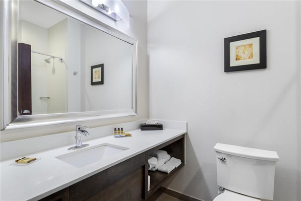 King Suite - Guest Bath