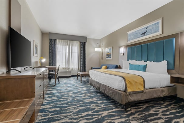 ADA King w/ Sofa & Kitchenette