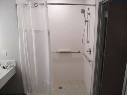 Mobility Accessible King Bathroom