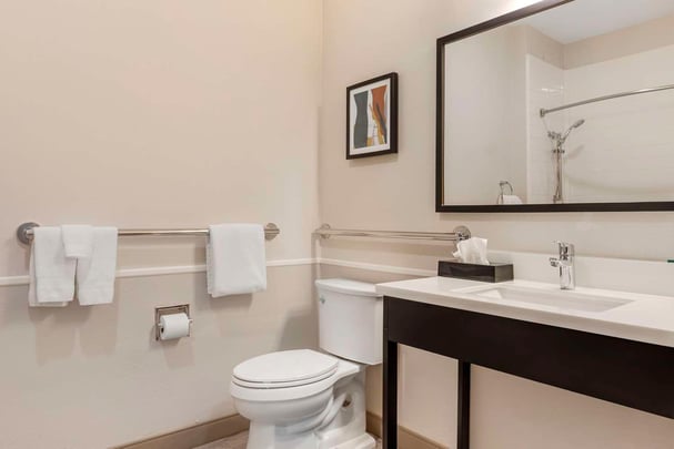 ADA King - Guest Bath