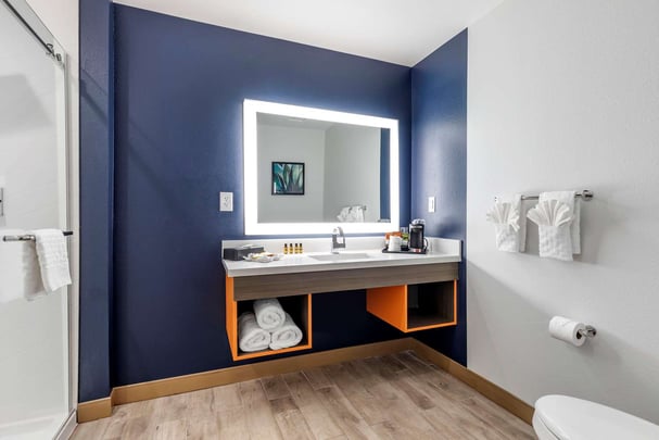 King Guest Room Bathroom