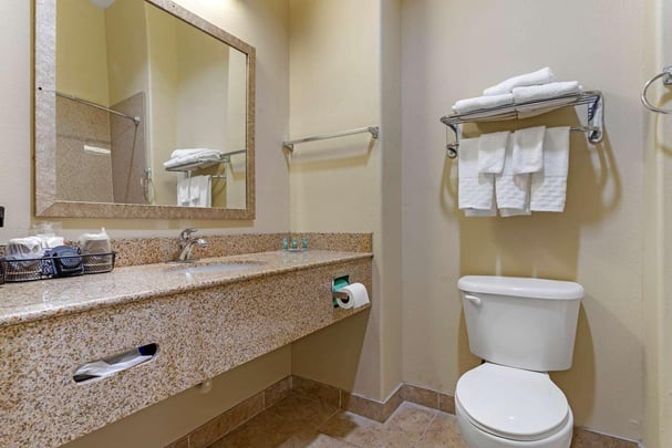 King Whirlpool Suite Bathroom