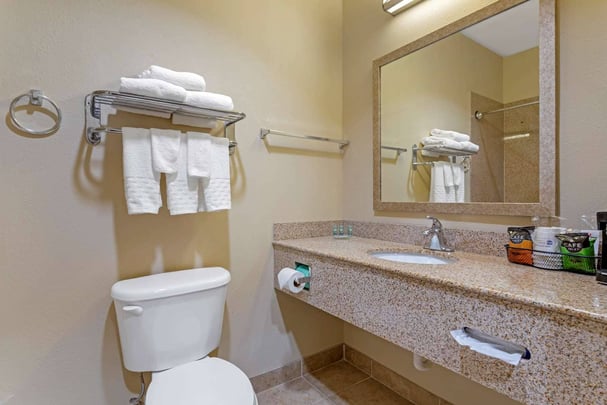 King Suite Bathroom