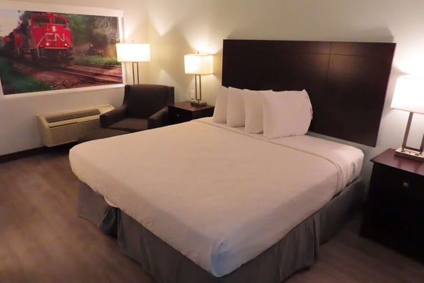 Mobility Accessible King Guestroom