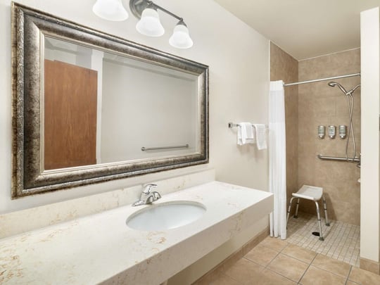 ADA Bathroom with roll in shower