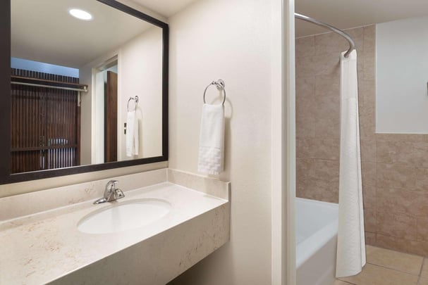 1 King Bed - Bathroom