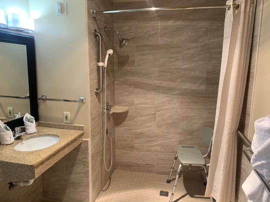 Guest Bathroom with Roll-in-Shower