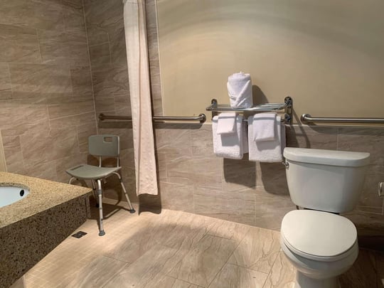 Guest Bathroom with Roll-in-Shower