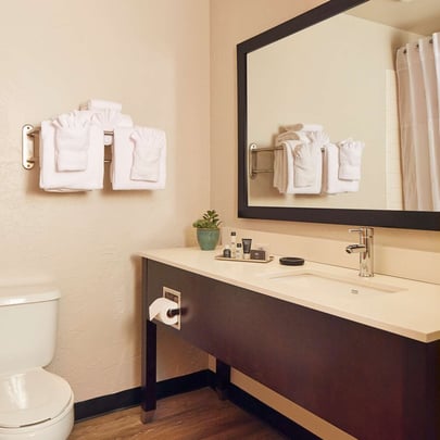 Bathroom Vanity in Standard Guest Room