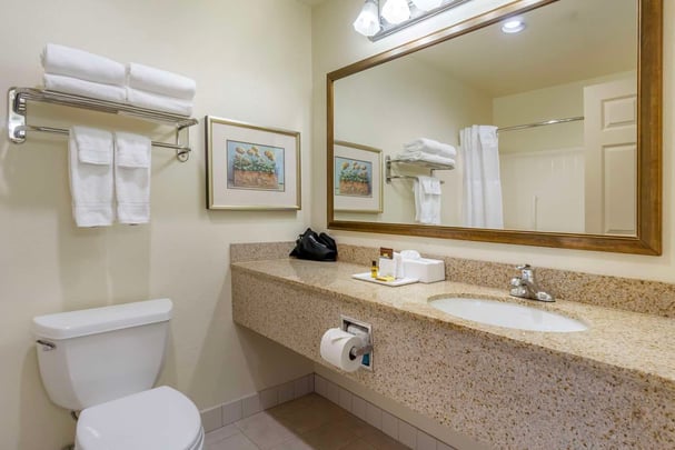 Junior Suite Bathroom