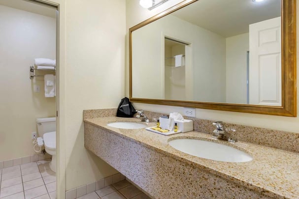 Fireplace Suite Bathroom