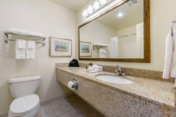 Deluxe Bathroom