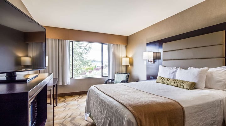 One Queen Guest Room