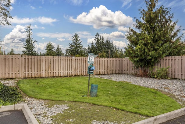 Dog Park / Green Spaces