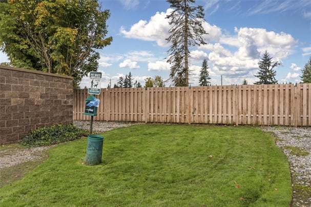 Dog Park / Green Spaces