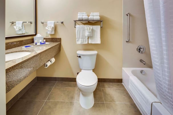 Accessible Guest Bathroom