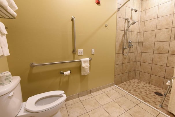King Mobility Accessible - Bathroom