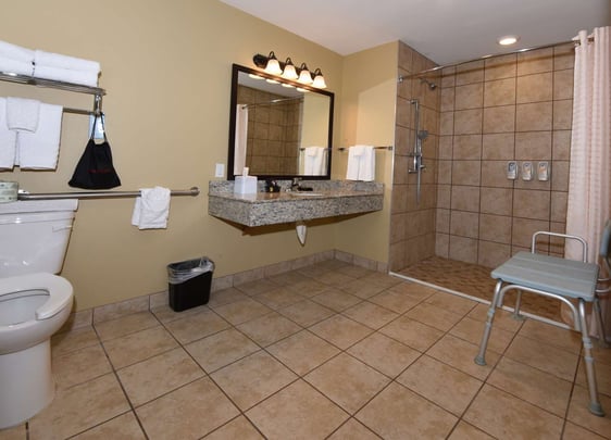 King Suite Mobility Accessible - Bathroom