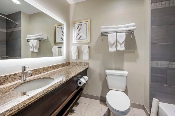 Double Queen Mini Suite Bathroom