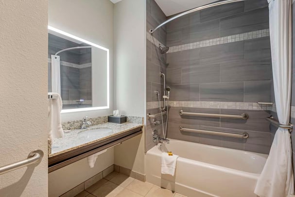 Double Queen Suite Accessible Pet Bathroom