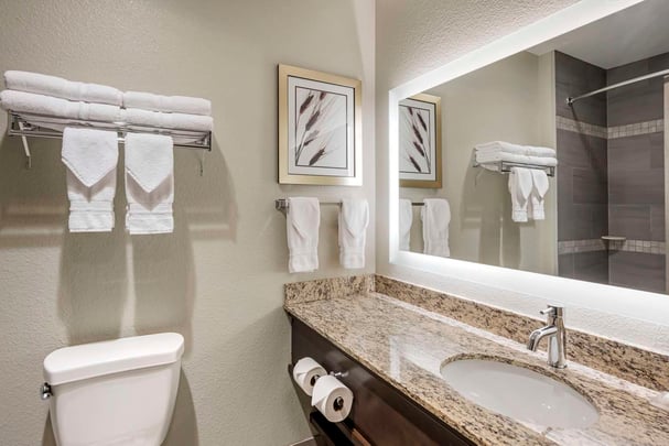 King Mini Suite Bathroom