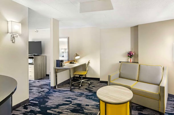 King Suite Sofabed ADA