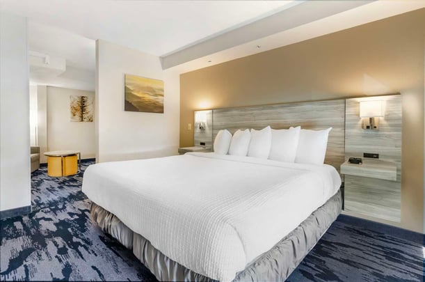 King Suite Sofabed ADA