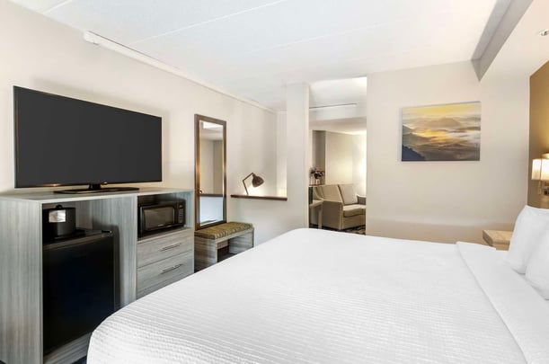 King Suite Sofabed ADA