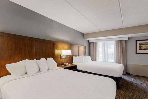 Double Queen ADA Bathtub