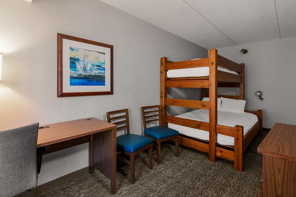 Double Queen ADA Bathtub