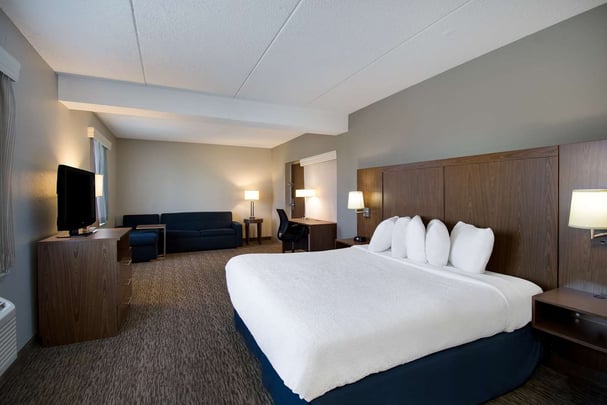 King Suite ADA Rollin Shower